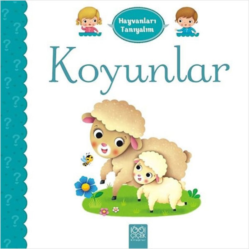 Koyunlar Koyunlar