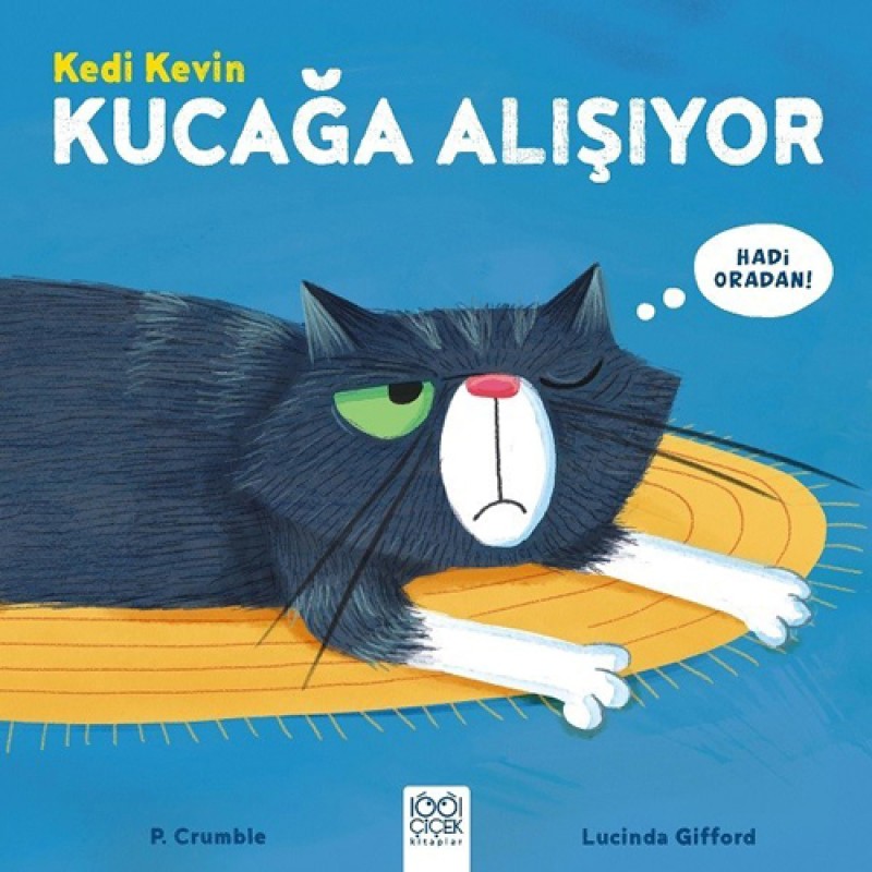 Kedi Kevin Kucağa Alışıyor Kedi Kevin Kucağa Alışıyor