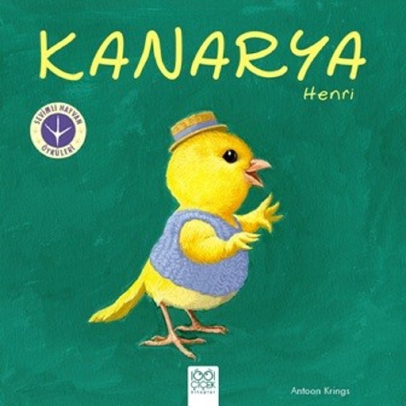 Kanarya Henri Kanarya Henri