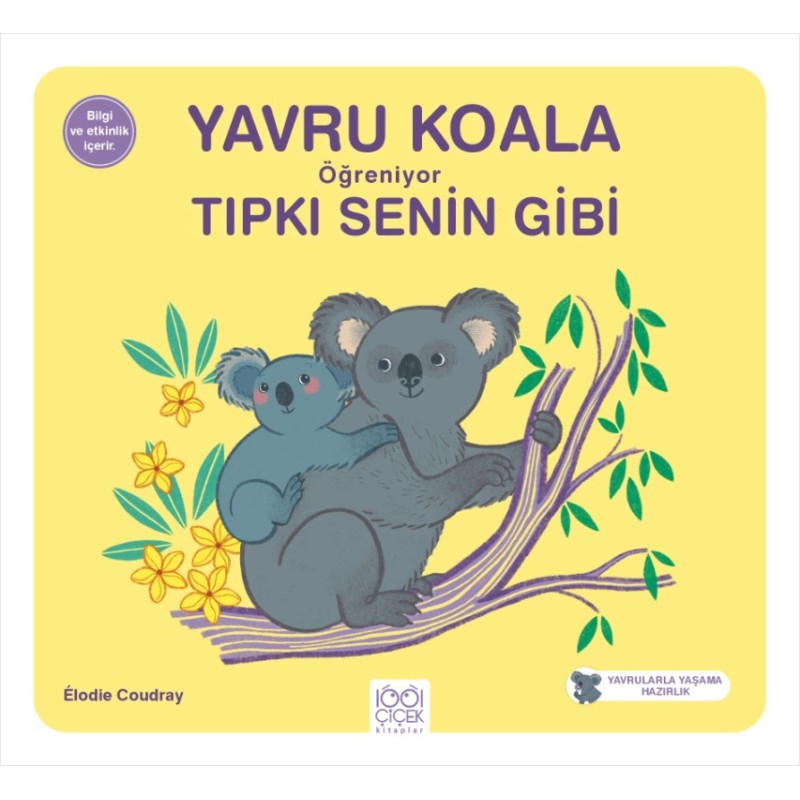 Yavru Koala Öğreniyor Tıpkı Senin Gibi Yavru Koala Öğreniyor Tıpkı Senin Gibi