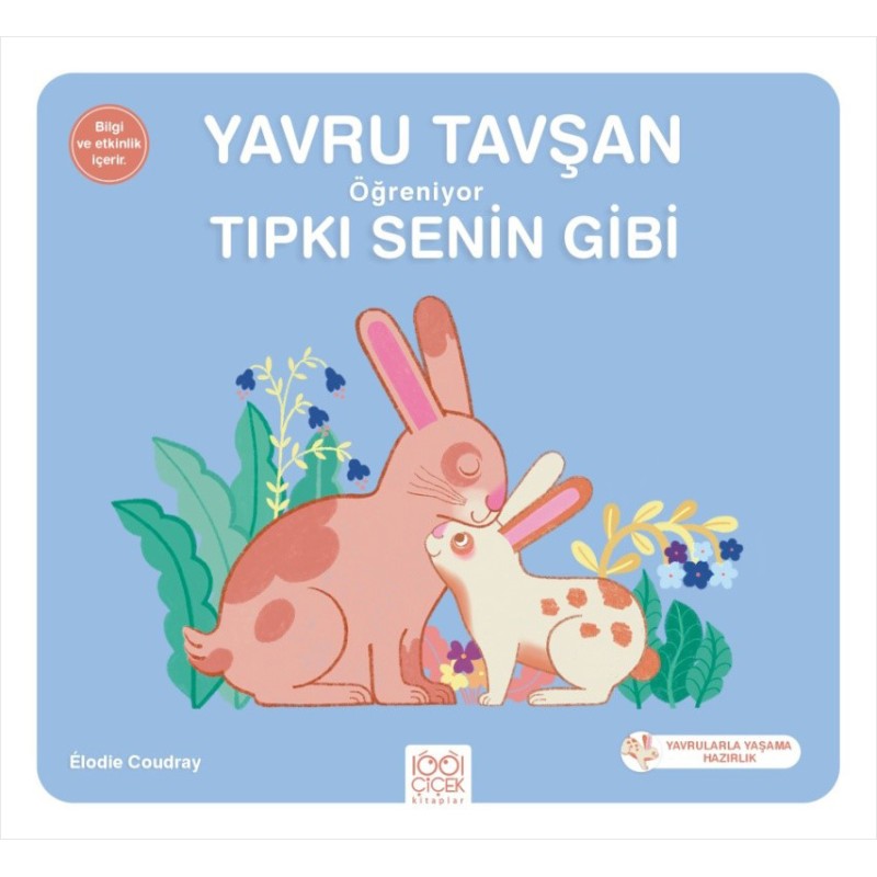 Yavru Tavşan Öğreniyor Tıpkı Senin Gibi