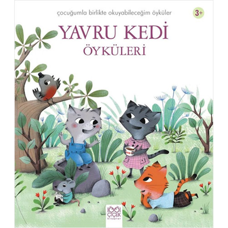 Yavru Kedi Öyküleri Yavru Kedi Öyküleri