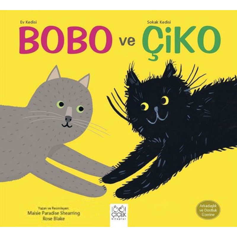 Ev Kedisi Bobo ve Sokak Kedisi Çiko Ev Kedisi Bobo ve Sokak Kedisi Çiko