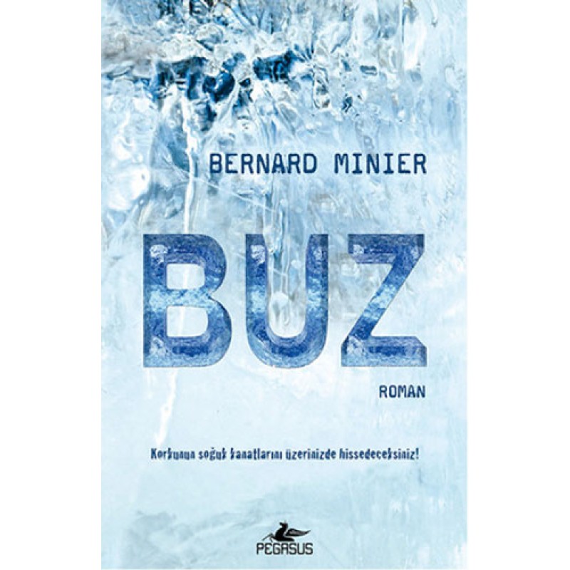 Buz Buz