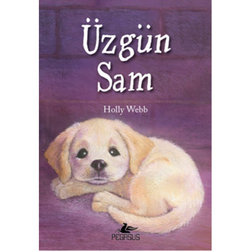 Üzgün Sam Üzgün Sam