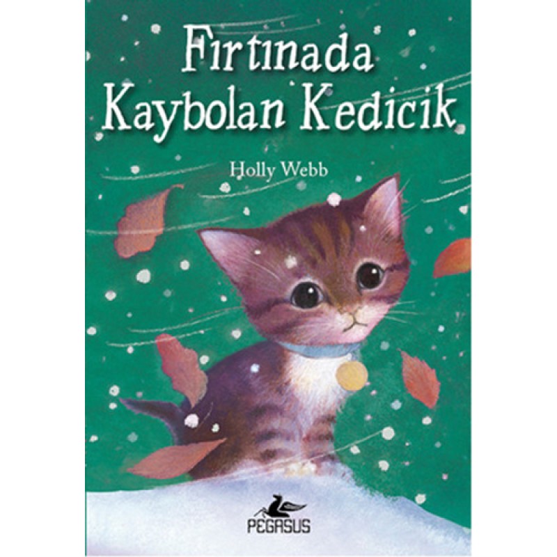 Fırtınada Kaybolan Kedicik Fırtınada Kaybolan Kedicik