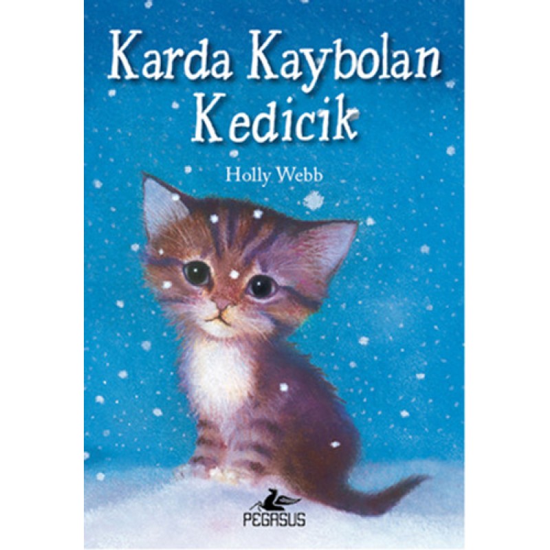 Karda Kaybolan Kedicik Karda Kaybolan Kedicik
