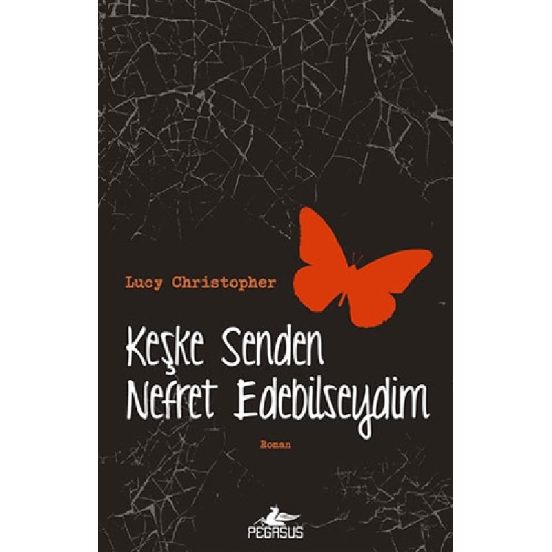 Keşke Senden Nefret Edebilseydim Keşke Senden Nefret Edebilseydim