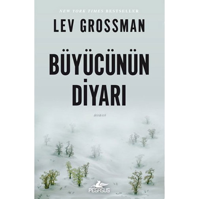 Büyücünün Diyarı Büyücünün Diyarı