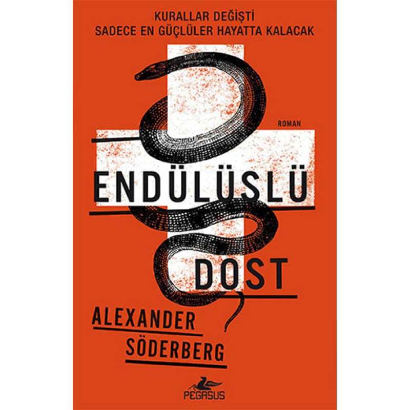 Endülüslü Dost Endülüslü Dost