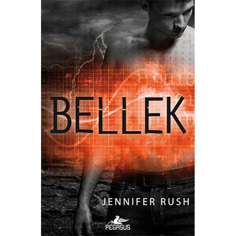Bellek Bellek