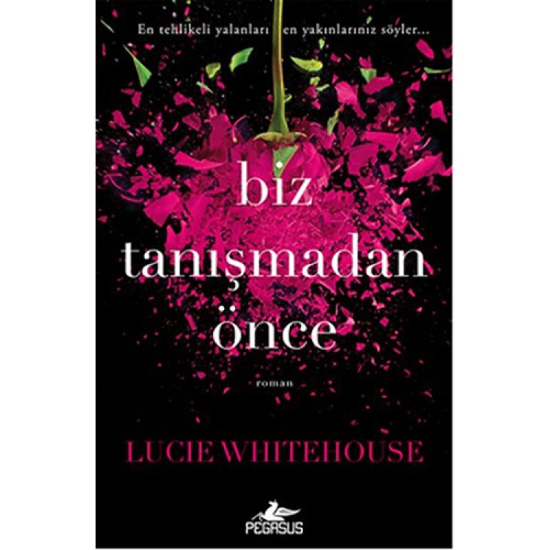 Biz Tanışmadan Önce Biz Tanışmadan Önce