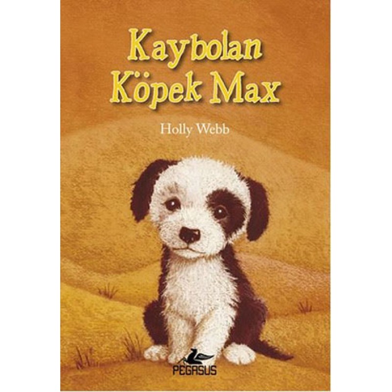 Kaybolan Köpek Max Kaybolan Köpek Max
