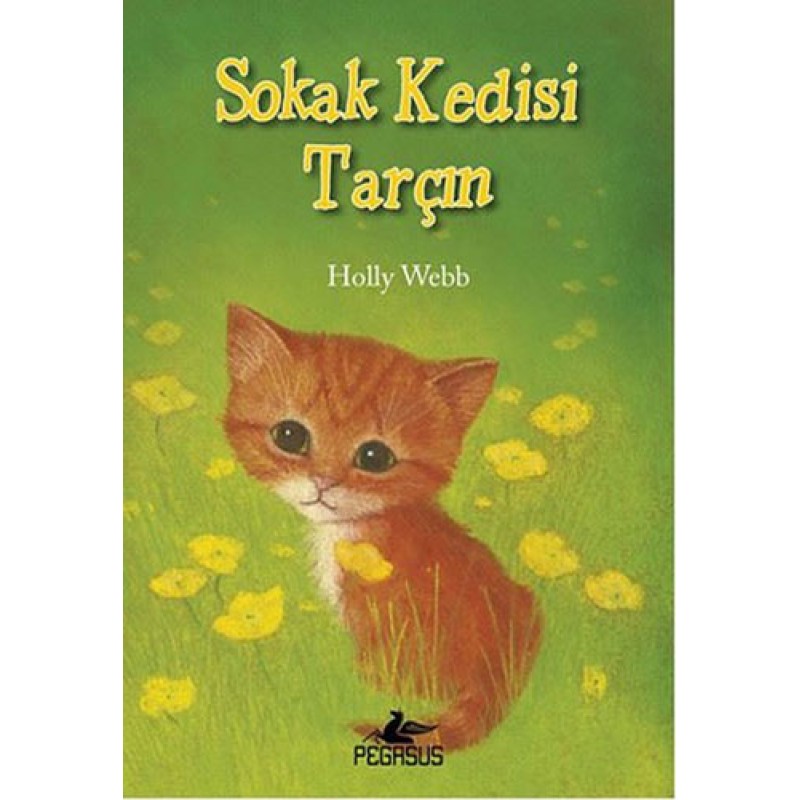 Sokak Kedisi Tarçın Sokak Kedisi Tarçın