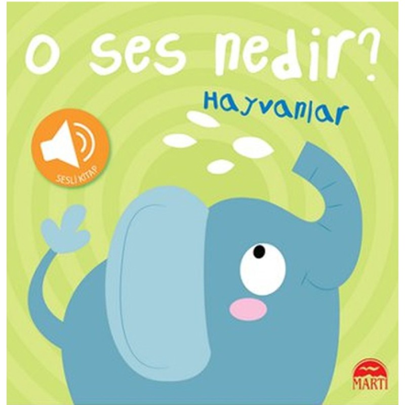 O Ses Nedir? O Ses Nedir?