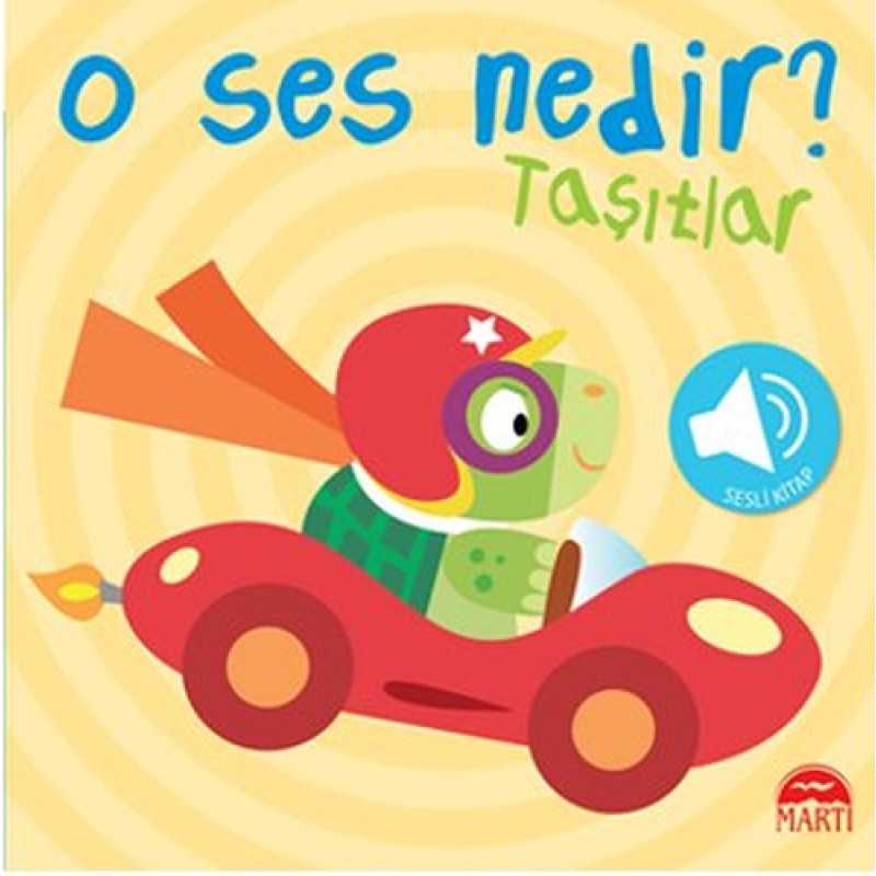 O Ses Nedir? O Ses Nedir?