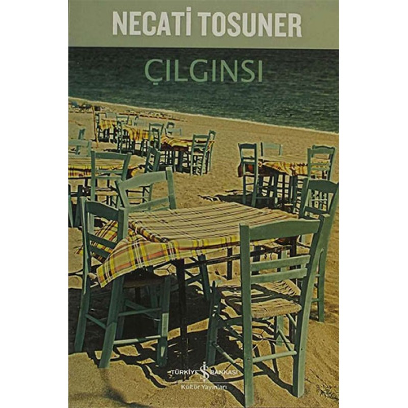 Çılgınsı Çılgınsı