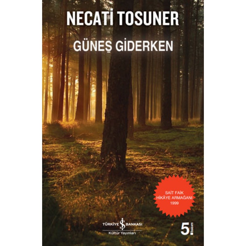 Güneş Giderken Güneş Giderken