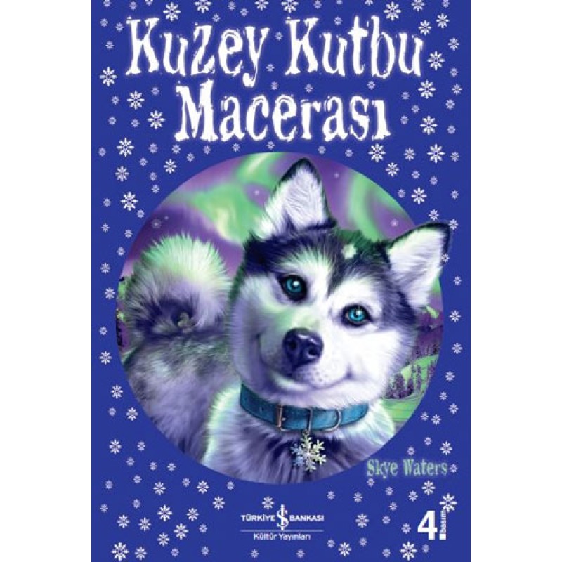 Kuzey Kutbu Macerası Kuzey Kutbu Macerası