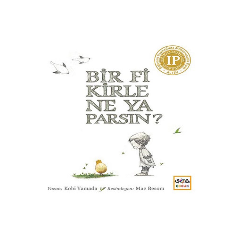 Bir Fikirle Ne Yaparsın? (Ciltli)