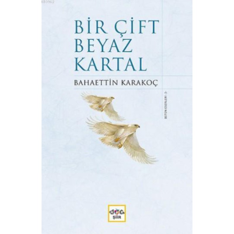 Bir Çift Beyaz Kartal Bir Çift Beyaz Kartal