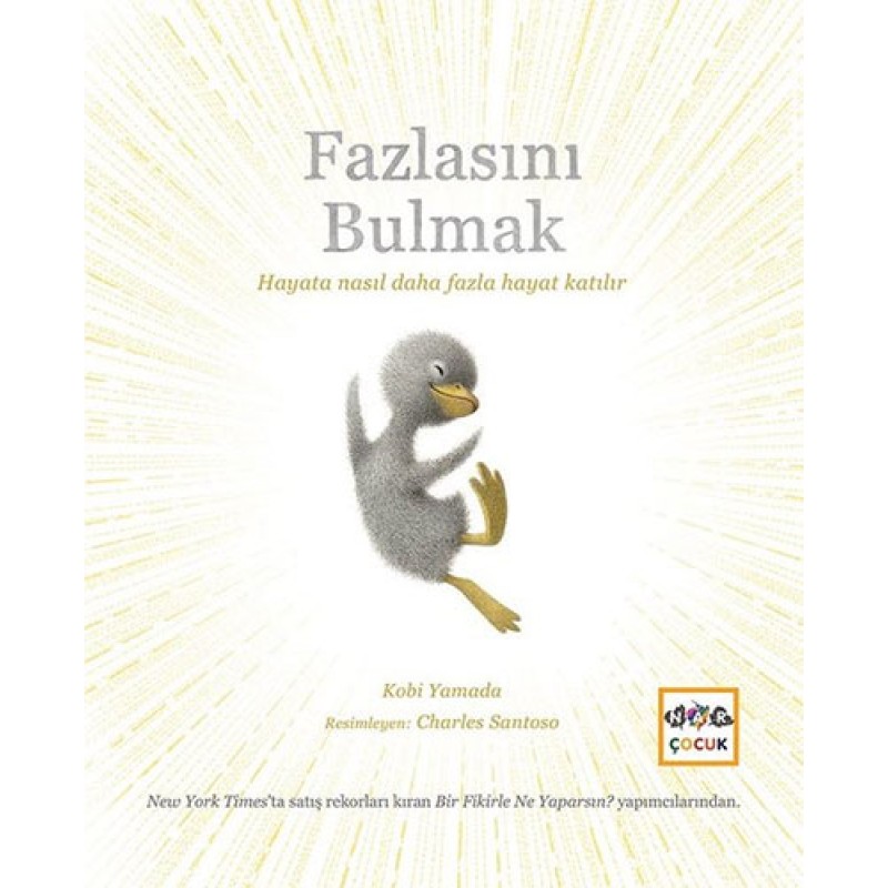 Fazlasını Bulmak Fazlasını Bulmak
