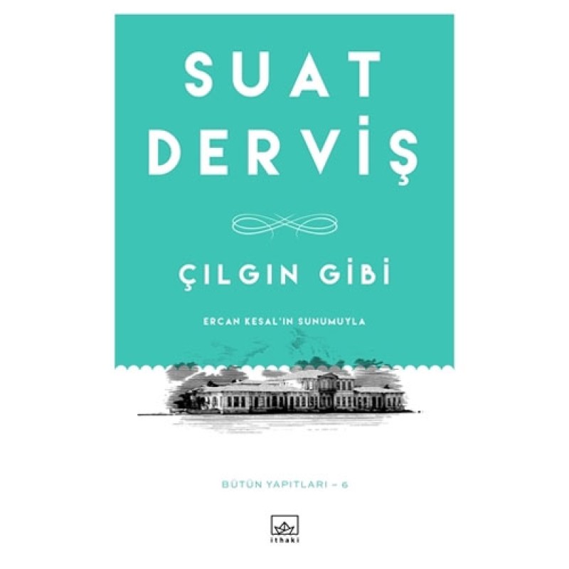 Çılgın Gibi Çılgın Gibi