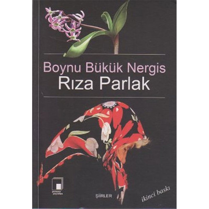 Boynu Bükük Nergis Boynu Bükük Nergis