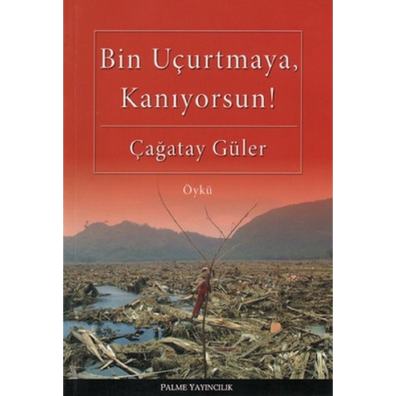 Bin Uçurtmaya, Kanıyorsun! Bin Uçurtmaya, Kanıyorsun!