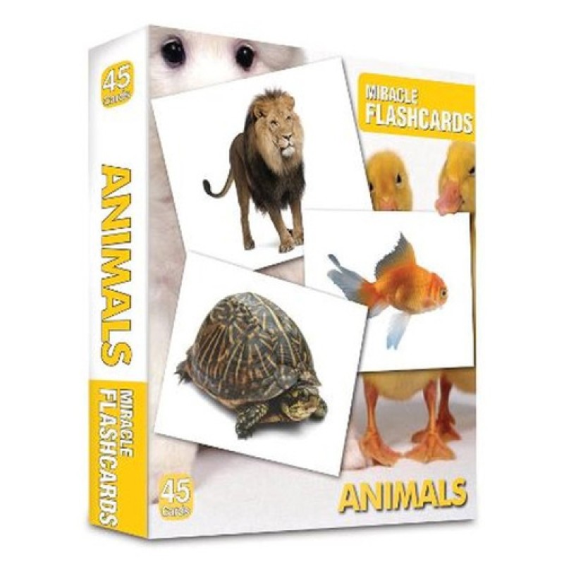 Miracle Flashcards Animals