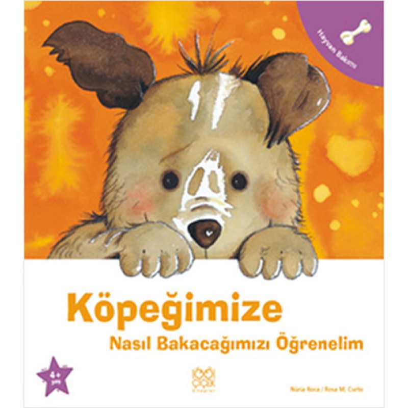 Köpeğimize Nasıl Bakacağımızı Öğrenelim Köpeğimize Nasıl Bakacağımızı Öğrenelim