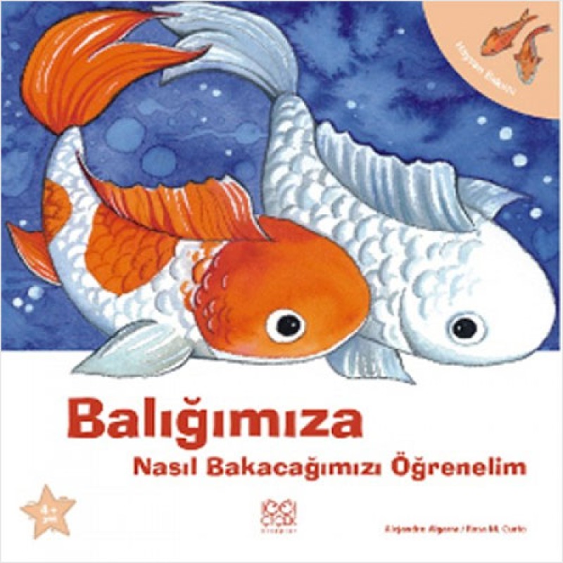 Balığımıza Nasıl Bakacağımızı Öğrenelim Balığımıza Nasıl Bakacağımızı Öğrenelim