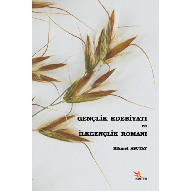 Gençlik Edebiyatı ve İlkgençlik Romanı