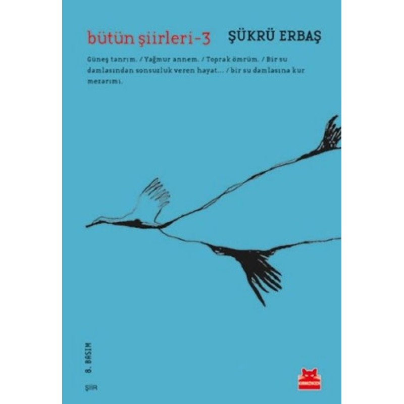 Bütün Şiirleri - 3