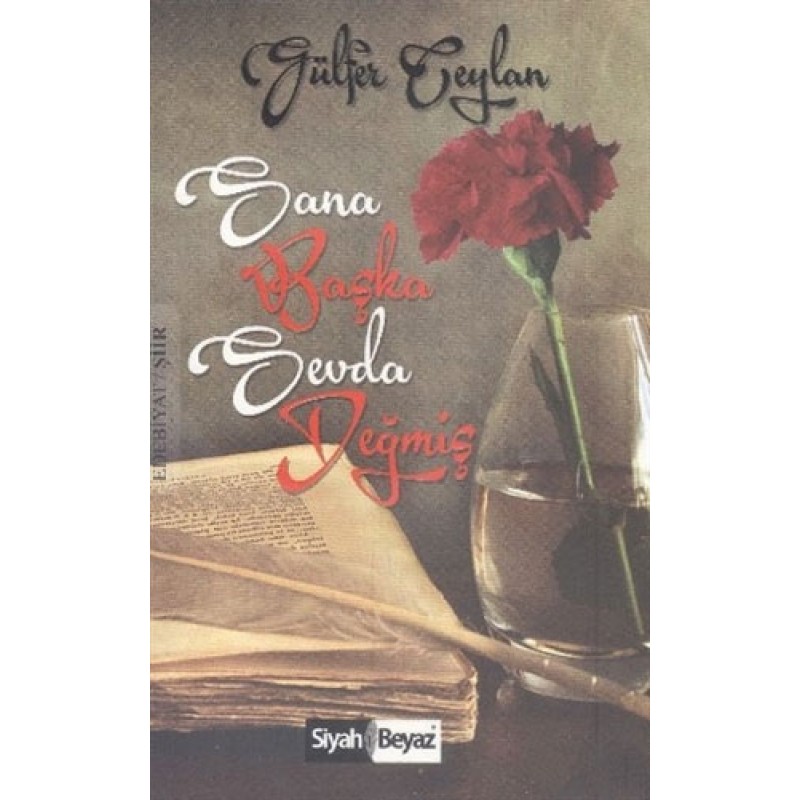Sana Başka Sevda Değmiş