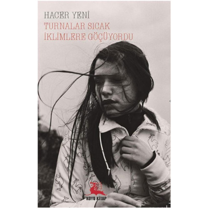 Turnalar Sıcak İklimlere Göçüyordu Turnalar Sıcak İklimlere Göçüyordu