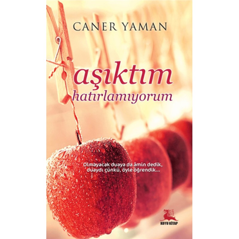 Aşıktım Hatırlamıyorum Aşıktım Hatırlamıyorum