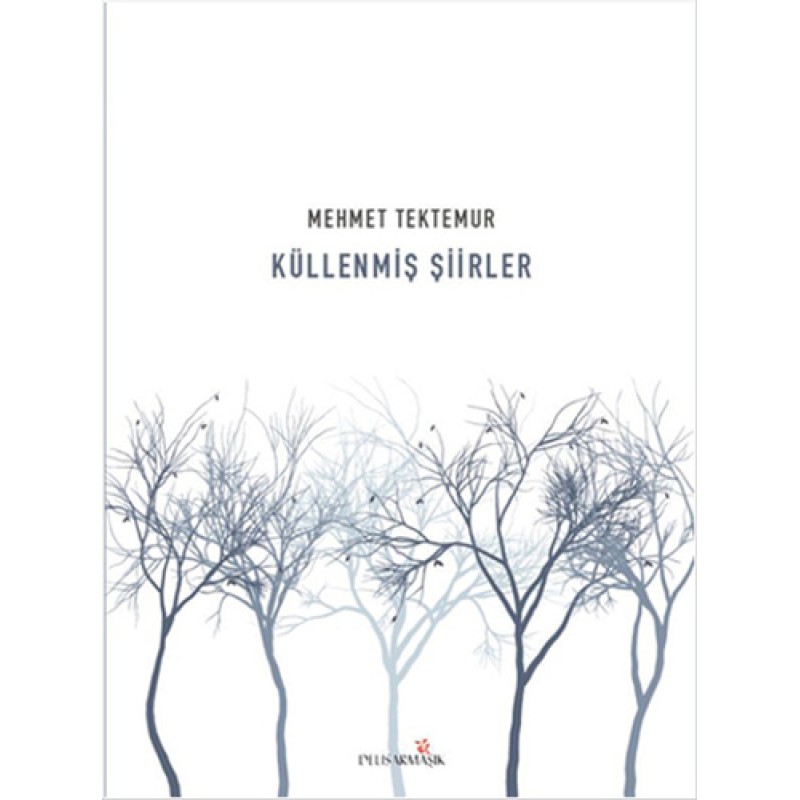 Küllenmiş Şiirler Küllenmiş Şiirler