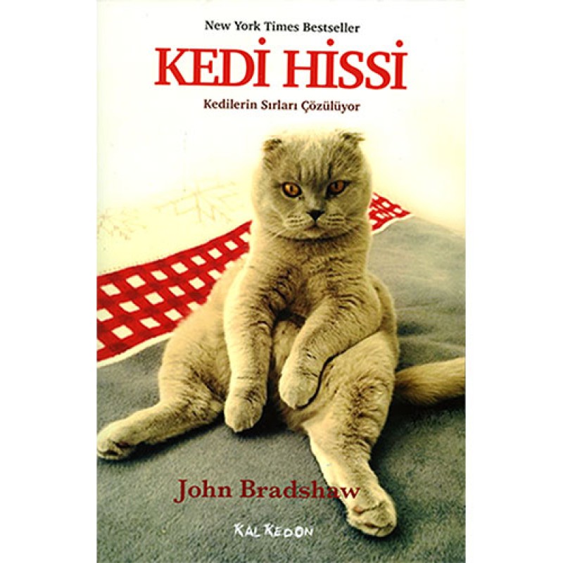 Kedi Hissi