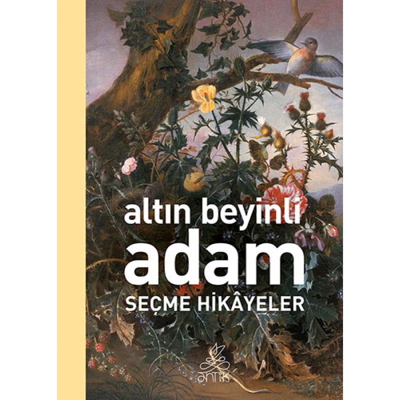 Altın Beyinli Adam Altın Beyinli Adam
