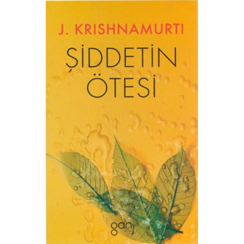 Şiddetin Ötesi Şiddetin Ötesi