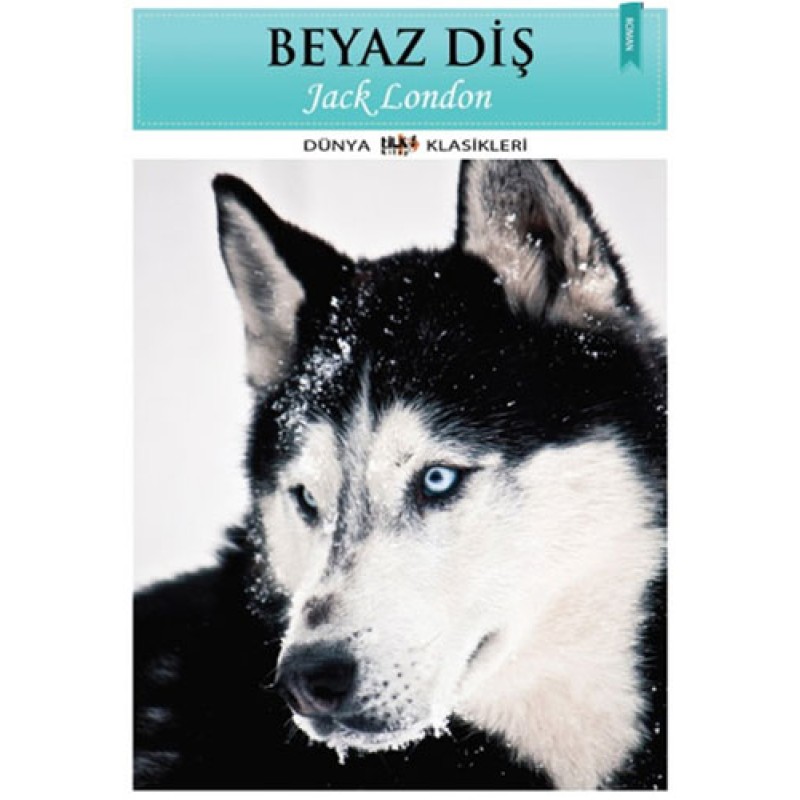 Beyaz Diş Beyaz Diş