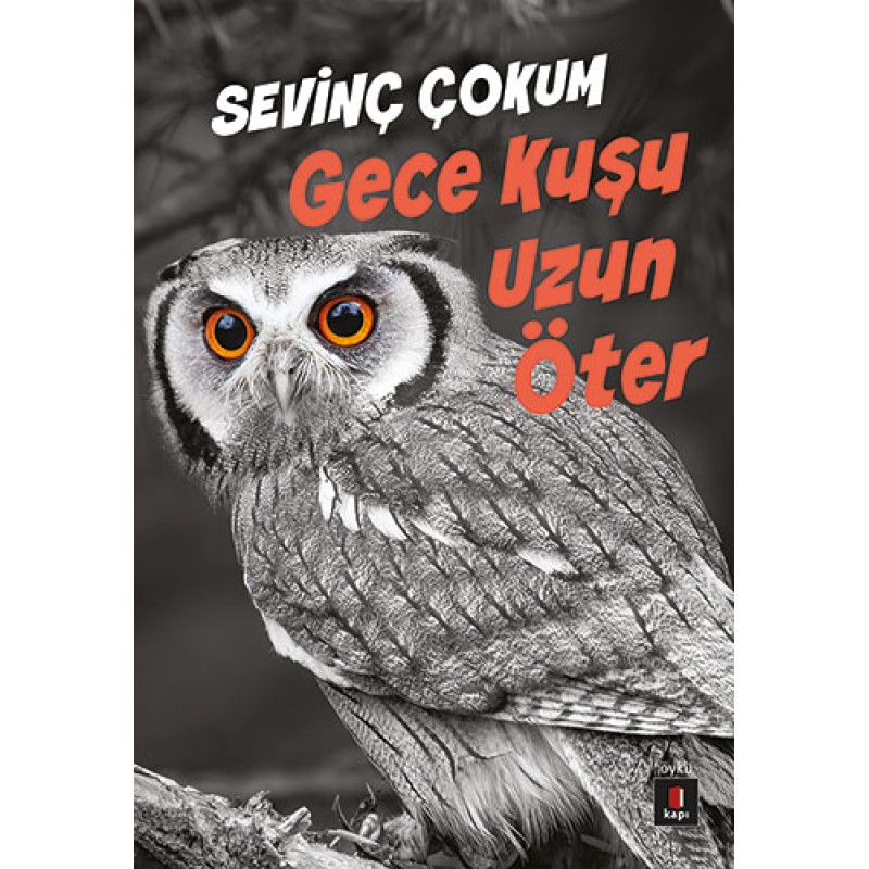 Gece Kuşu Uzun Öter