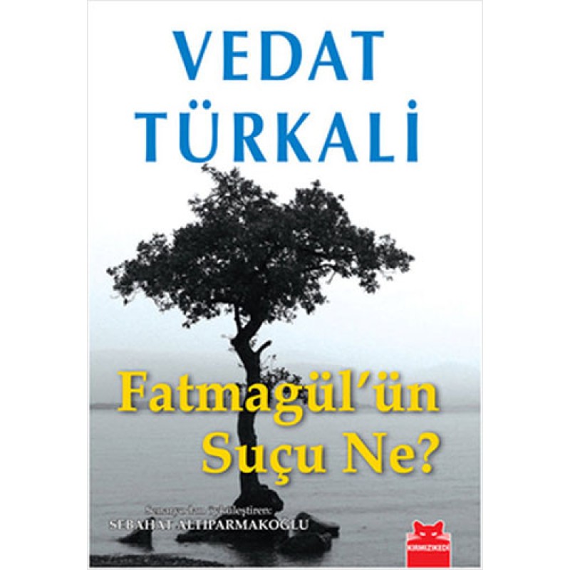 Fatmagül’ün Suçu Ne? Fatmagül’ün Suçu Ne?