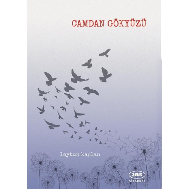 Camdan Gökyüzü Camdan Gökyüzü