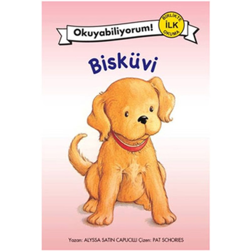 Bisküvi Bisküvi