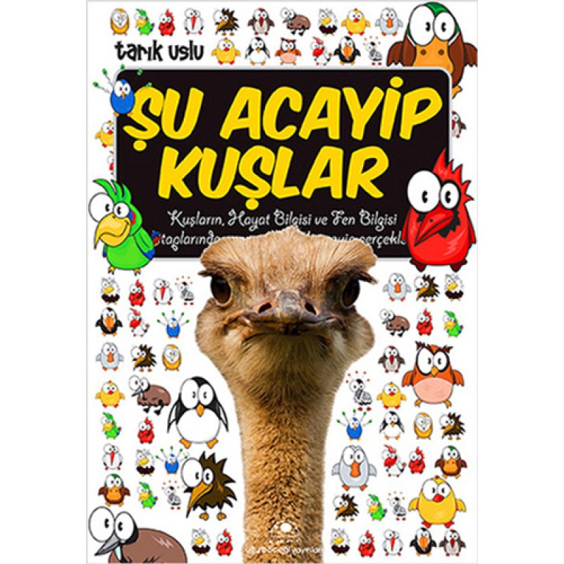 Şu Acayip Kuşlar Şu Acayip Kuşlar