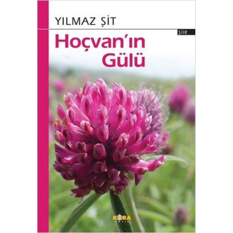Hoçvan'ın Gülü Hoçvan'ın Gülü