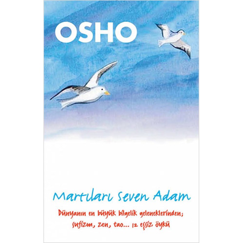 Martıları Seven Adam Martıları Seven Adam