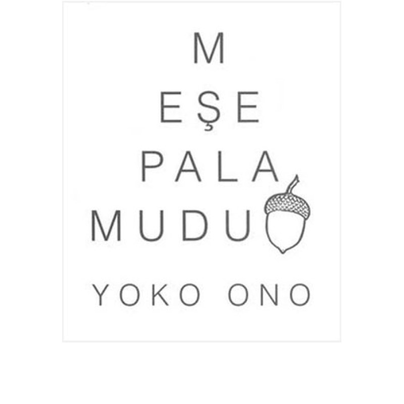Meşe Palamudu Meşe Palamudu